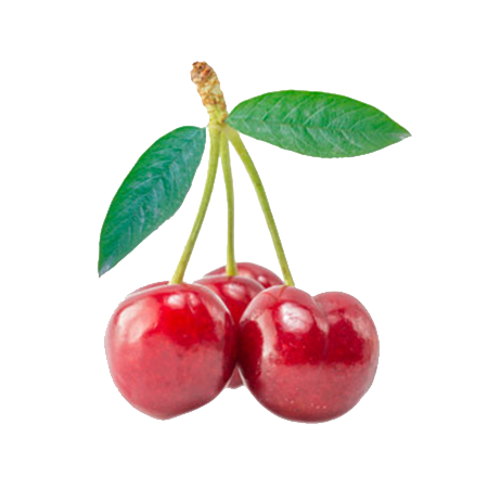 Fresh Fruits